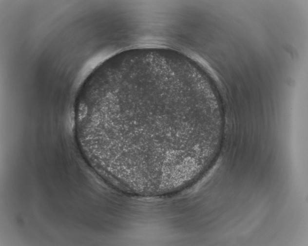 X0000112861461200910021302