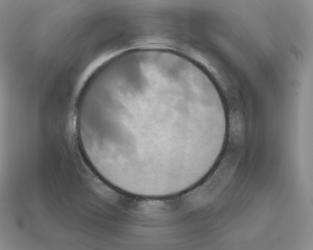 X0000112861462200910021302