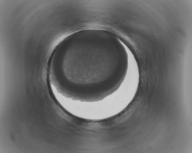 X0000112861463200910021302