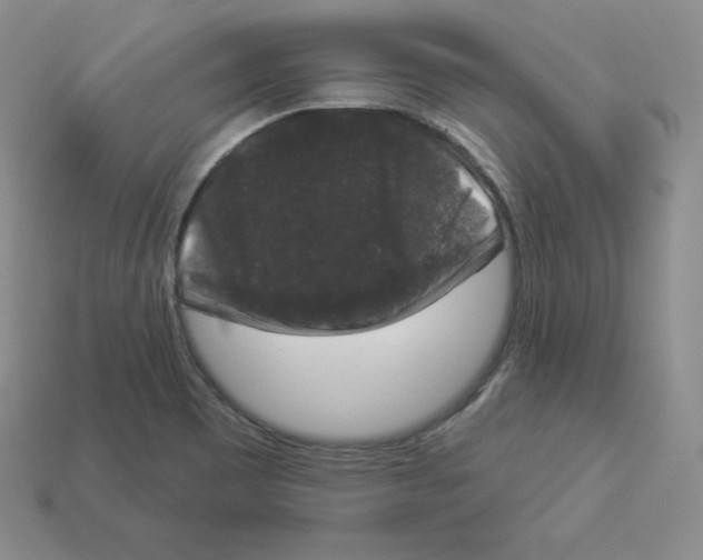X0000112861465200910021302