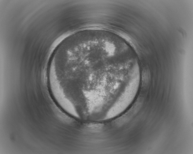 X0000112861466200910021302