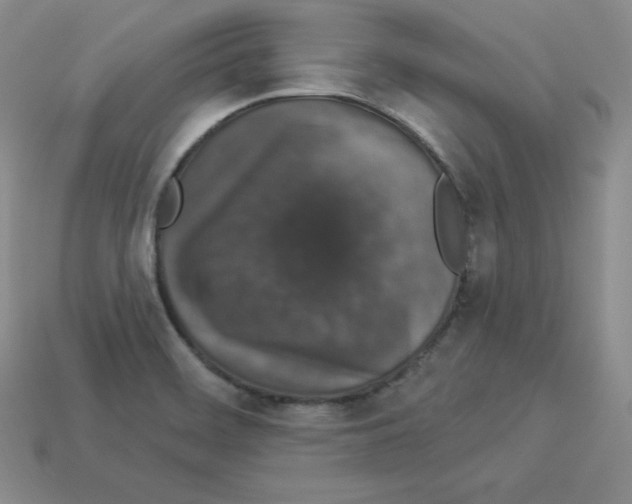 X0000112861468200910021302