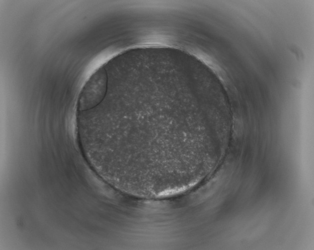 X0000112861469200910021302