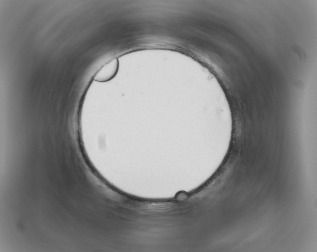 X0000112861471200910021302