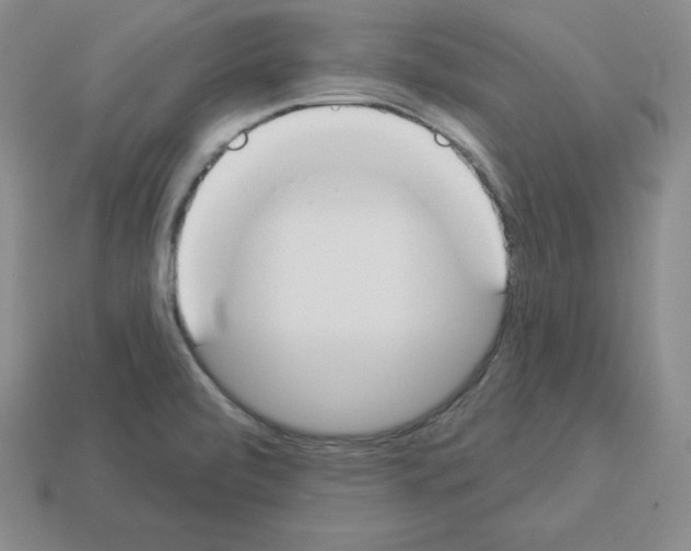 X0000112861472200910021302