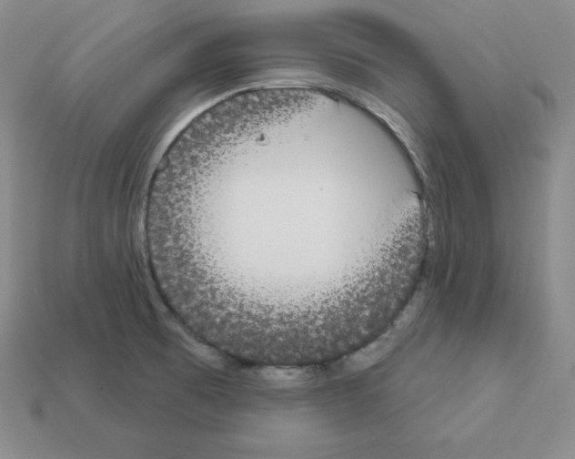 X0000112861473200910021302