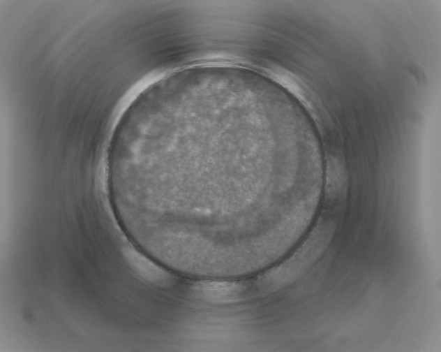 X0000112861474200910021301
