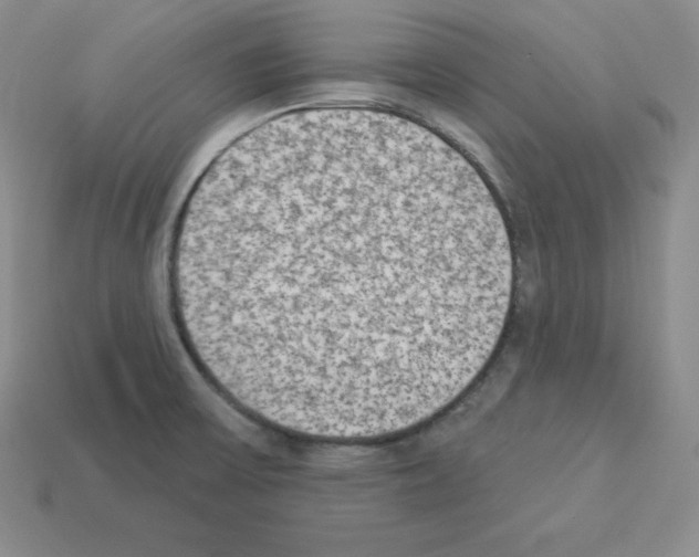 X0000112861475200910021301