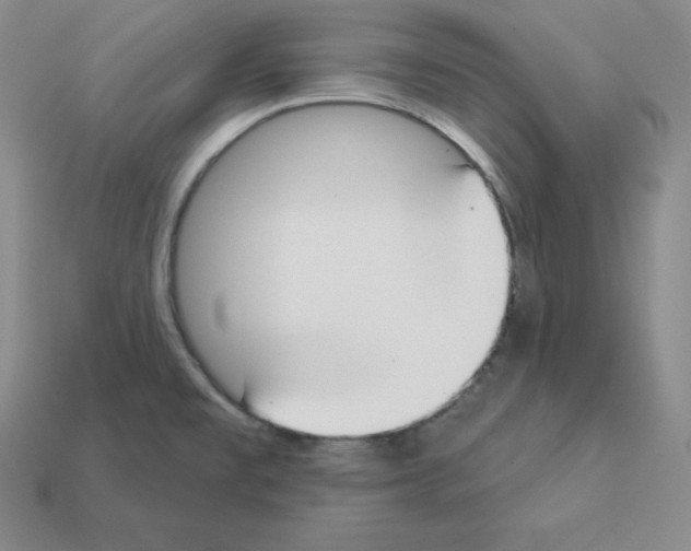 X0000112861477200910021301