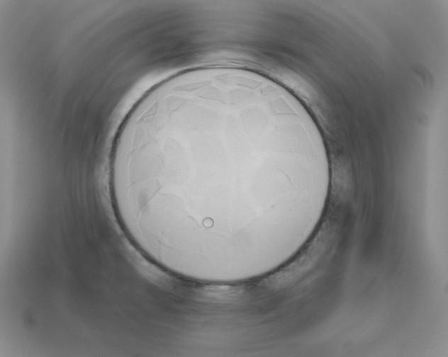 X0000112861478200910021301