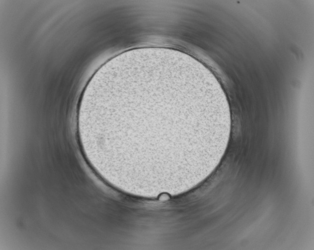 X0000112861479200910021301