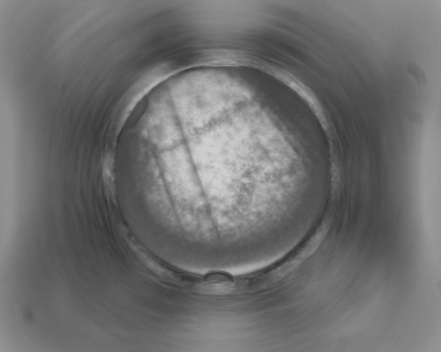 X0000112861481200910021301