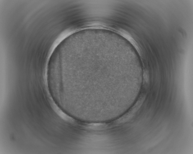 X0000112861482200910021301