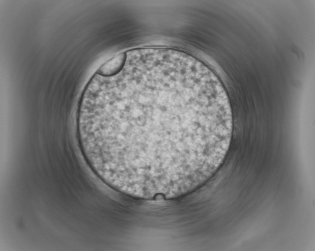 X0000112861483200910021301