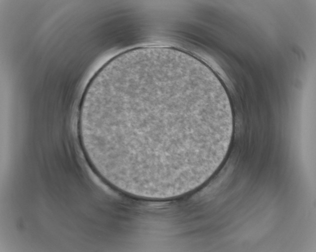 X0000112861484200910021301