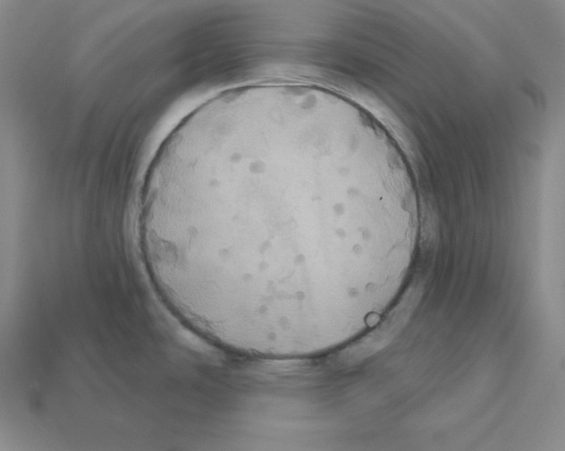 X0000112861486200910021301
