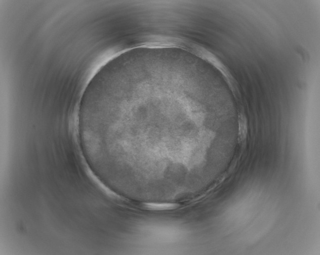X0000112861487200910021301
