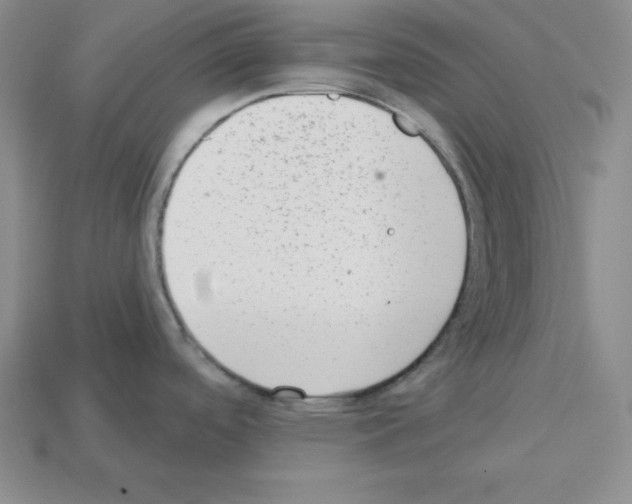 X0000112861488200910021301