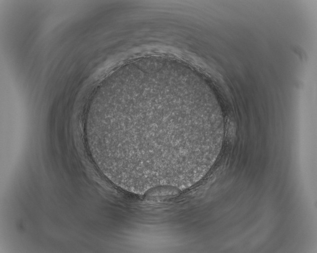X0000112861489200910021301