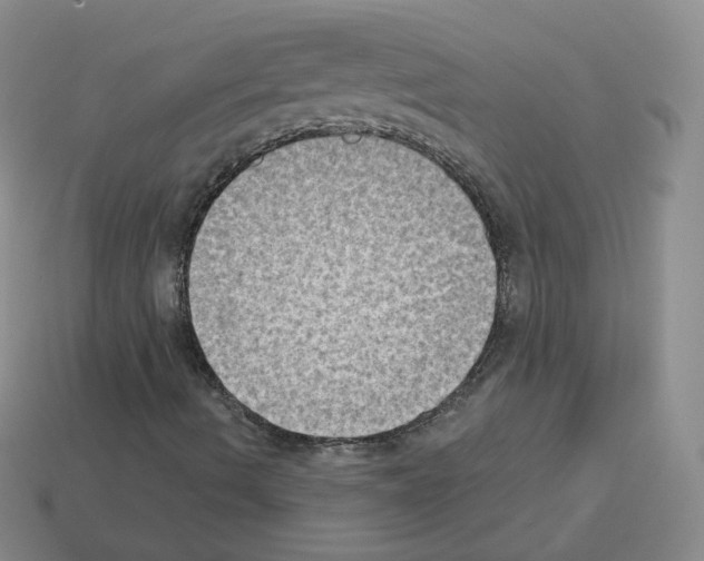 X0000112861490200910021301