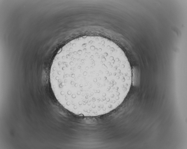 X0000112861491200910021301