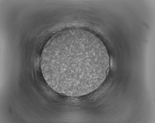 X0000112861492200910021301