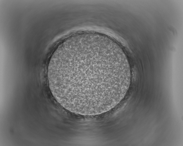 X0000112861494200910021301