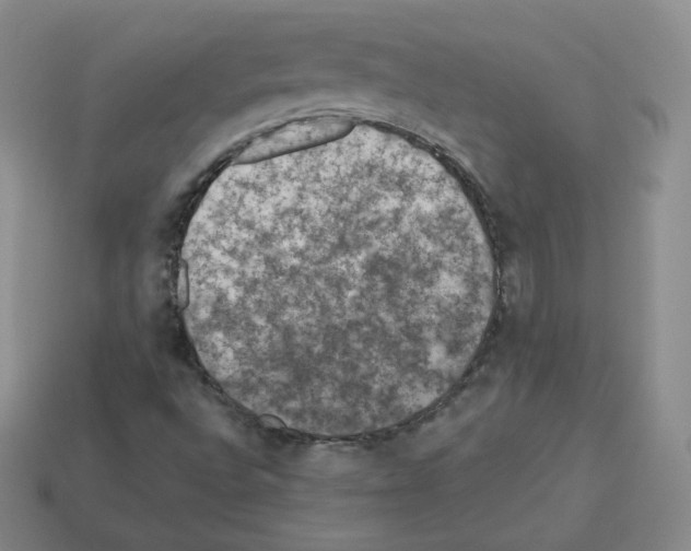 X0000112861496200910021301
