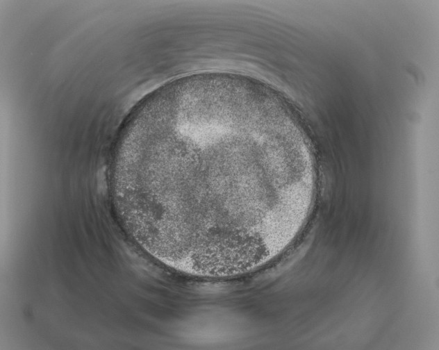 X0000112861497200910021301