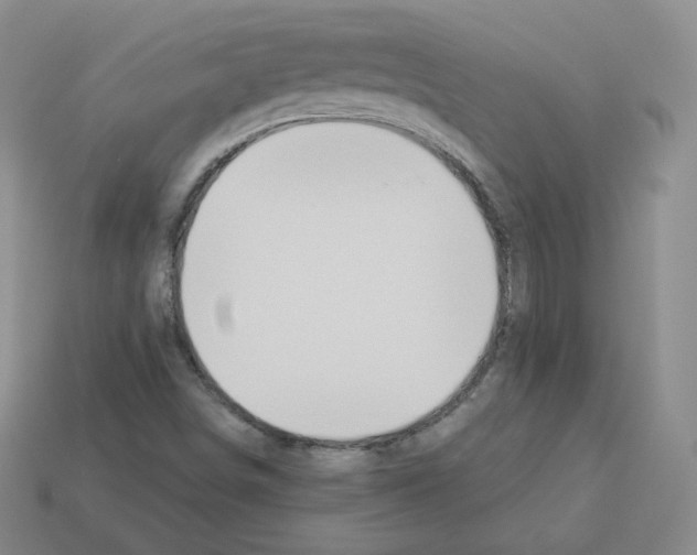 X0000112861498200910021301
