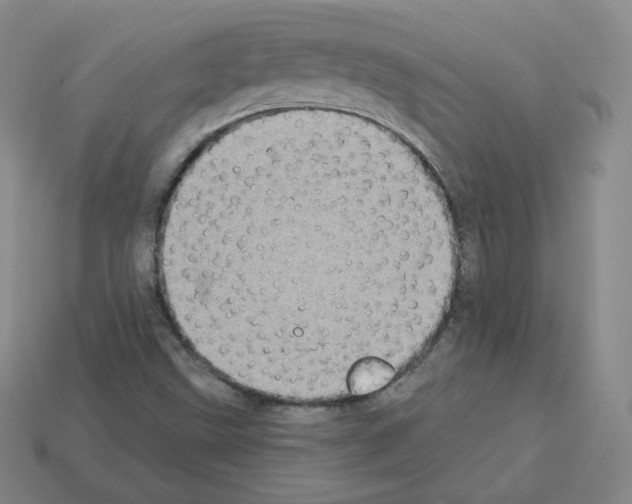 X0000112861499200910021301