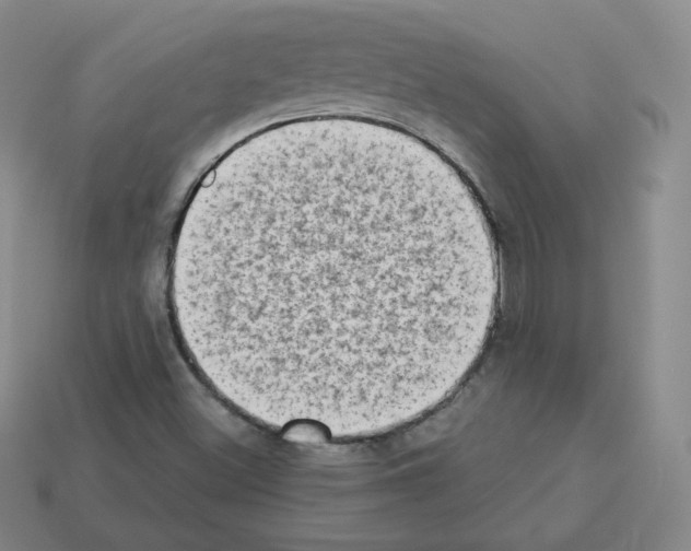 X0000112861500200910021301