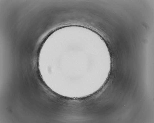 X0000112861502200910021301