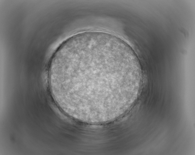 X0000112861503200910021301