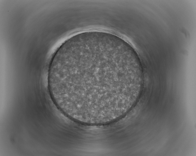 X0000112861504200910021301