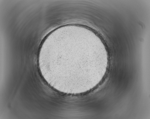 X0000112861505200910021301