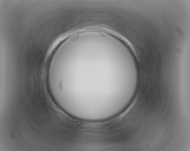 X0000112861506200910021301