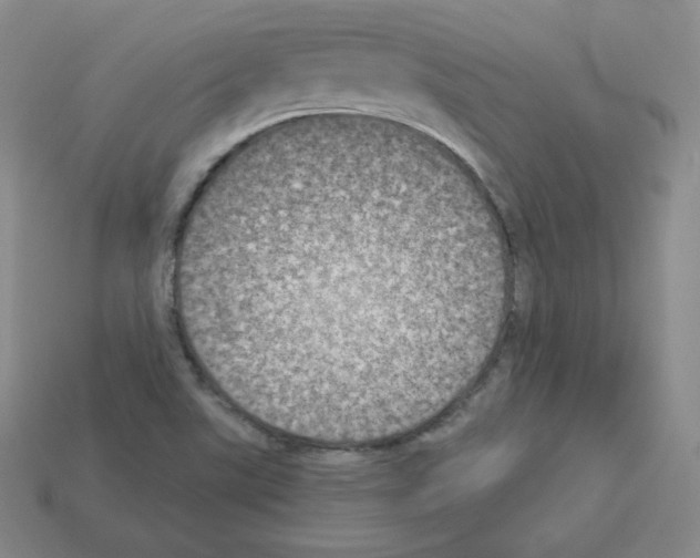 X0000112861507200910021301