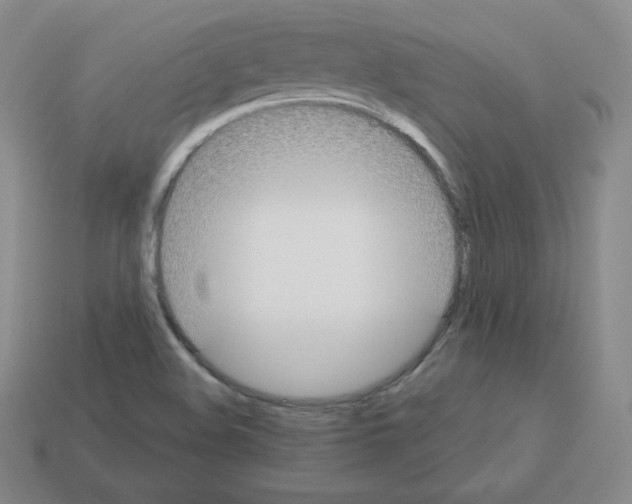 X0000112861508200910021301