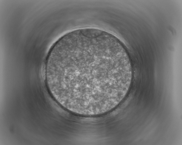 X0000112861510200910021301