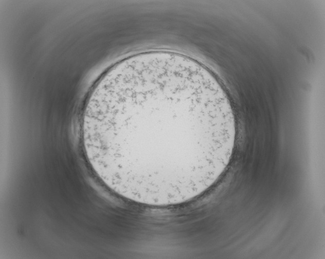 X0000112861511200910021301