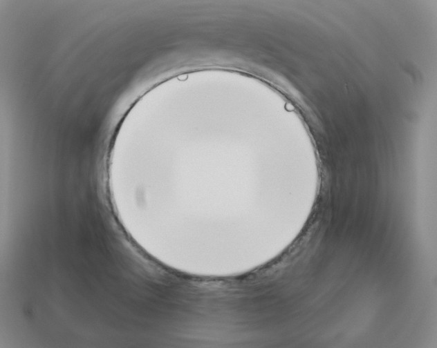 X0000112861512200910021301
