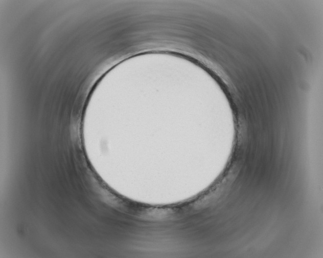X0000112861513200910021301