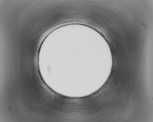 X0000112861516200910021301
