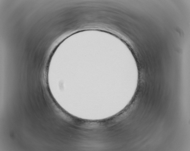 X0000112861517200910021301