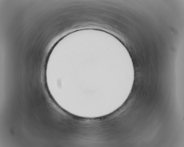 X0000112861518200910021301
