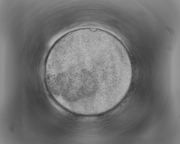 X0000112861519200910021301