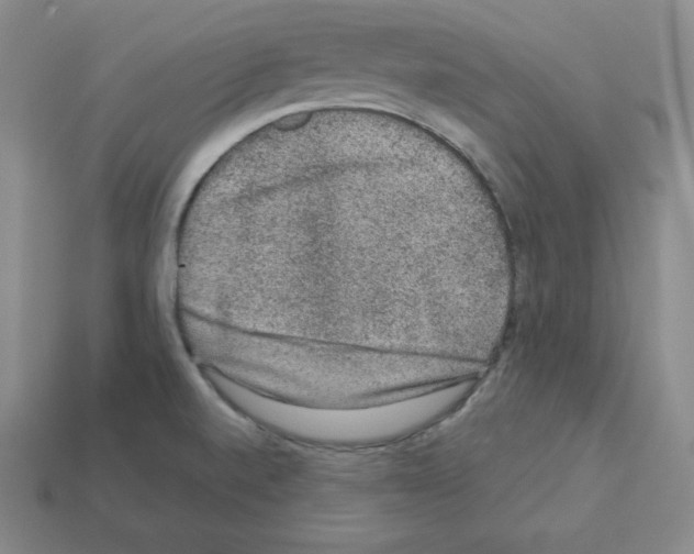 X0000112861520200910021301
