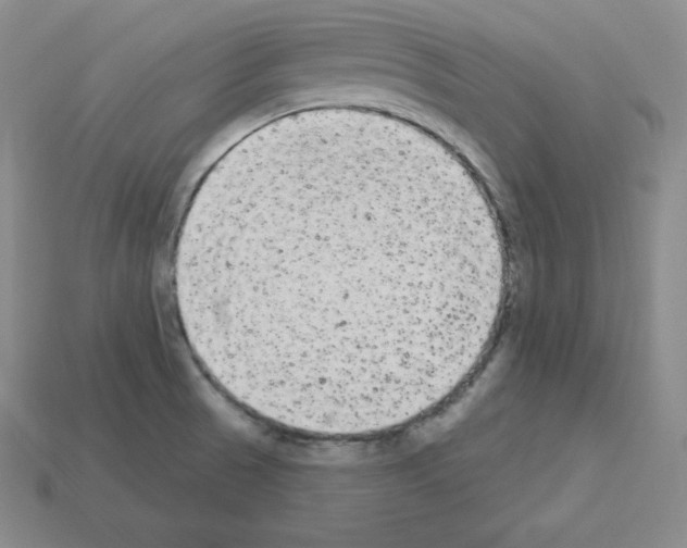 X0000112861521200910021301