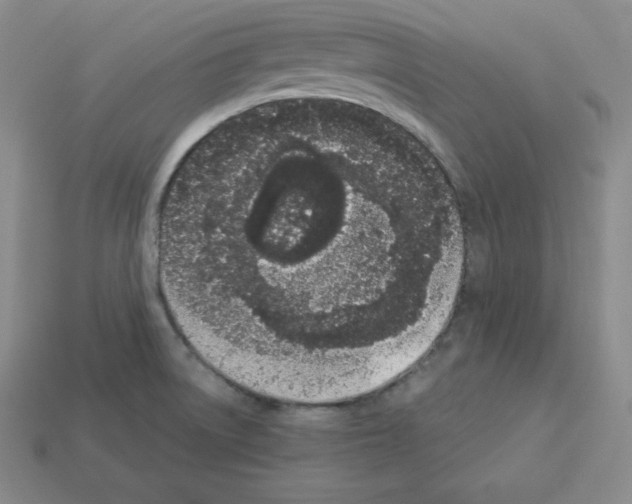 X0000112861522200910021301